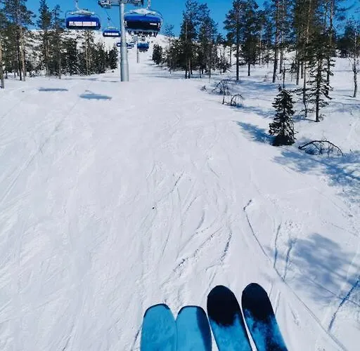 Levi Poroileville Daire